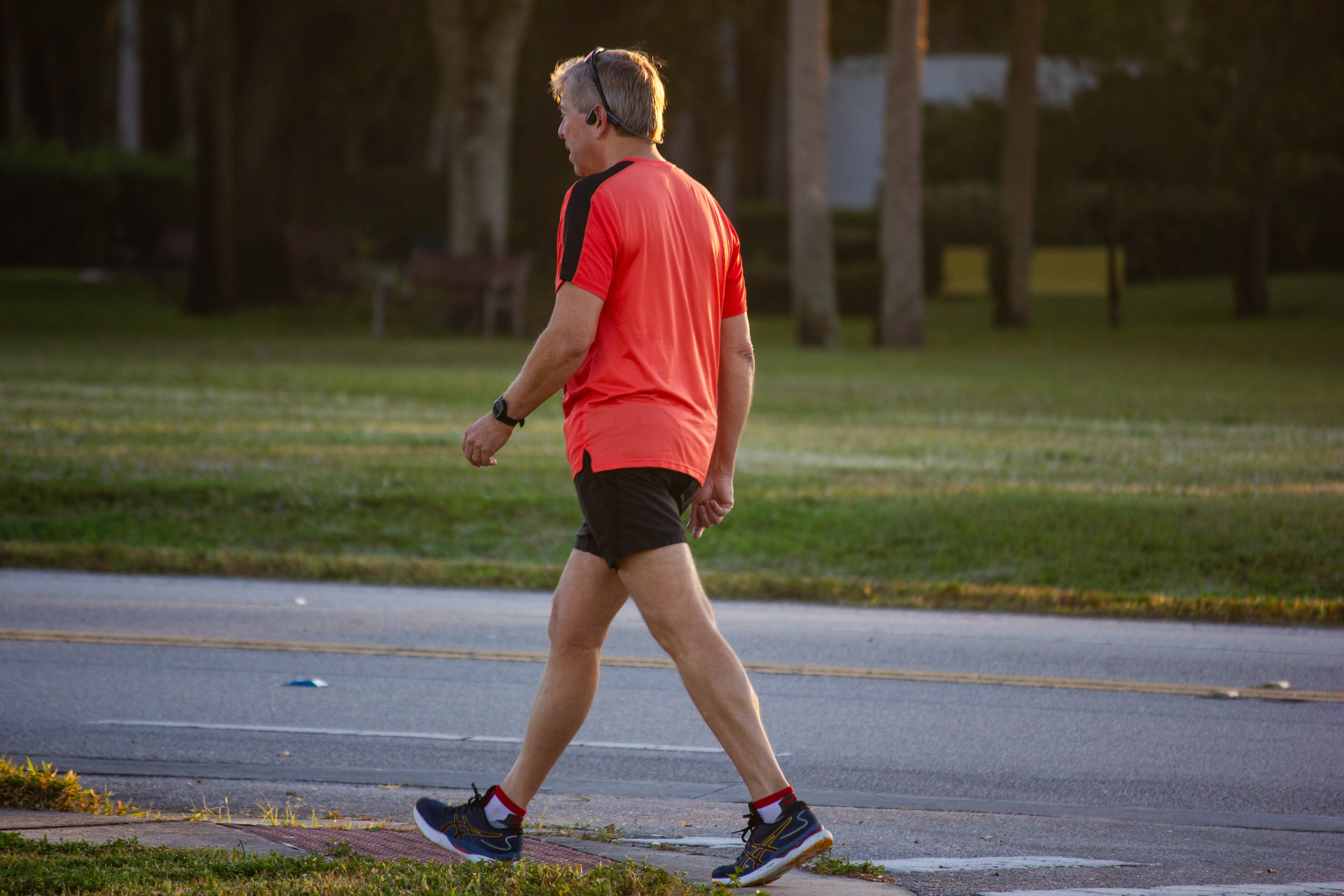 Trot 2024